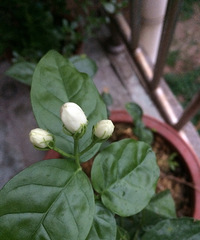 ʱ򲻵ò̾ǿ㱻ӵ򻨾