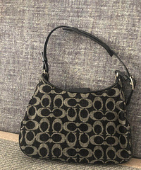 �Ե� Coach�йŰ����Ƚ��ټ����ϻ���