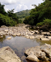 去实地体验2万5一套的避暑房,基础设施都有,排骨30一斤