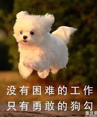 【94值得买】芬腾玛伦萨珊瑚绒睡衣79,傲滴隐形护理液3瓶8