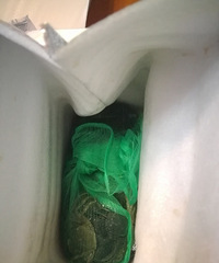 卖家超时未发货退单后竟然收到货,该怎么办
