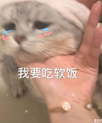 最近化身网购达人了,买了这些好物来分享