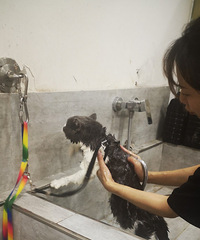 ̢һ29.9Ԫϴײͣϴװ׺ѹȥ