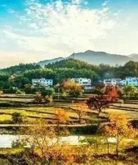 ֻ֪�������ųǣ�������Щ�����Ĺ���ÿһ����ֵ��ȥ�ſ��Լ�