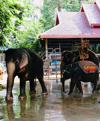 ˼С̩:˫ɣ3ι+ĩȥĵ6ڡ