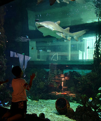 ���蹲��&�﷫����