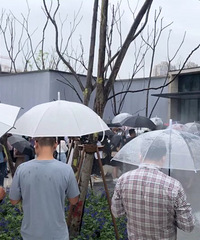 香港置地衿湖翠林示范区开放直播,太黑人老,我都没得落脚之地