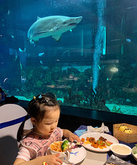 ����ֻ�����Զٴ�ͣ�û�뵽��˳�����˸�ˮ���