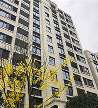 ܸӣ230²Σое嶯۸ֵò