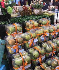 �����ģ�����2�����������ʲô