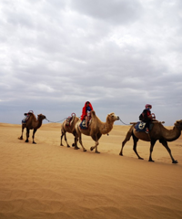 5Σ̫ϲˣɳĮ񣬸ϳˣ