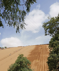 5Σ̫ϲˣɳĮ񣬸ϳˣ