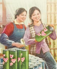 婚姻现状实录:男人把女人炼成了大哥,女人把女人变回了女人