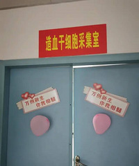 跟一个5岁的白血病患者配型成功,记录两个月的检查及手术过程