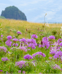 û·߾ȻΪ;ľϲ²ƺ˹