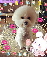 ΪҪչļȷʵûʱչˣɰ