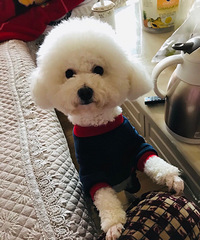 ΪҪչļȷʵûʱչˣɰ