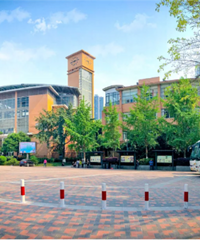 ΪʲôҶ˵Ͽѧѽҵ˴