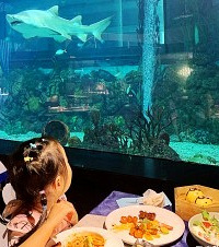 明明只是想来吃顿大餐,没想到餐厅竟像水族馆,还有超大只的鲨鱼