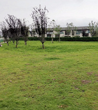 ˫����ĸͬס��100��װ��������̨251ƽ��Ժ