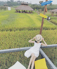 抓住夏天的小尾巴———稻田