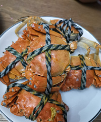 河蟹吃舒服了,黄多肉肥,新鲜到货还在吐泡