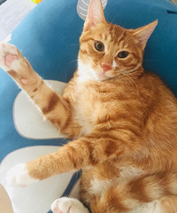 �����Ķ����ֳ������ȣ���������װ�ɰ�����������...