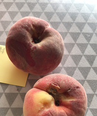 ��Ȼ������ĳˮ���������������ӣ����ۺ�����