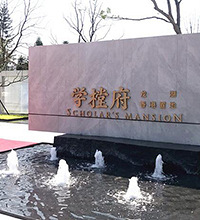 西永龙湖学樘府开二期了,位置更好,还有小户洋房,感觉要拼关系