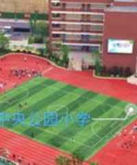 孩子可以读天台岗+珊瑚,老公却希望搬家到中央公园读新学校