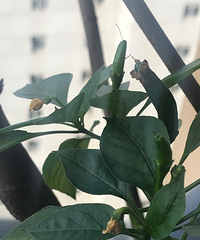 �����ܻ����ջ���ϲ֮ʱ��¼���Ҽҳ��콷�ҹ�����͸��ȫ����