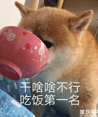 99大促神价我买了这些,都是刚需品很划算