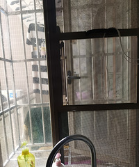邻居卧室不爱拉窗帘,有些尴尬