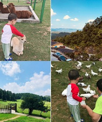 这个地方你肯定没来过,美到窒息
