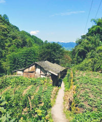 主城这个小众的地方我敢说99%的人都没去过,风景霸道还没人