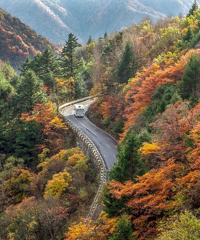 国内超适合9月,10月出行的6条自驾线路,沿途美到让人惊叹