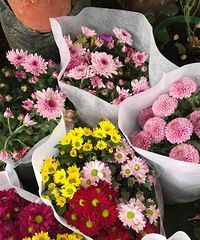 7Ԫ/裬׮Ҷ180Ԫ/꣬м۸