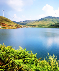 ������ھ�Ȼ����ô���ĵط�����û�ˣ�10��������ٵ�����ʳ