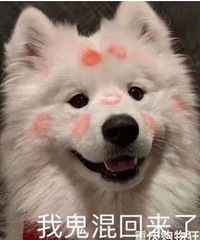 安利中国移动最划算的套餐