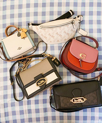 ��������˵��Coach �������ҵ�Ǯ��