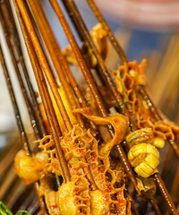 ˾20ţԵˣ߽ﻹһԼͯ