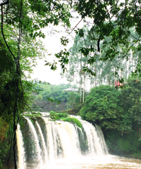 ����������������û�����ķ羰�����ܵ��㡢ժ���٣�ˣ�¶�