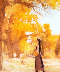 һֻ21ĵطŹڼµ죬Ҳ