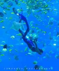 主城六大遛娃圣地来咯