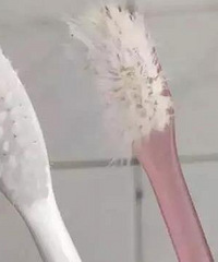 你的牙刷VS老公的牙刷