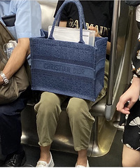 盘点下最近坐轻轨看到的大牌包们,你们喜欢哪一只?