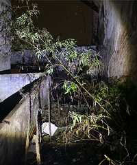 雨夜秘探大渡口废弃医院,惊现各种神秘符文和福尔马林的味道