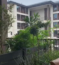 158���²���ʦ���б���ѧ������2��2����ÿ������20�O��԰