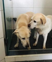 ݺĵäȮΪңֻһֻͨĹ