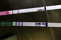 �Ϲ������⣬�����������Թܣ��һ�����ϲ�ˣ�